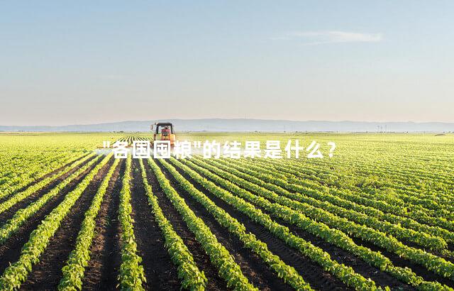 "各国囤粮"的结果是什么？